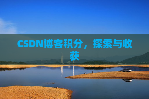 CSDN博客积分,探索与收获