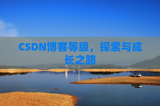 CSDN博客等级,探索与成长之路